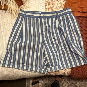 Everlane Blue and White Striped Shorts